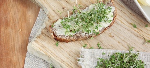 cress-1258492_960_720